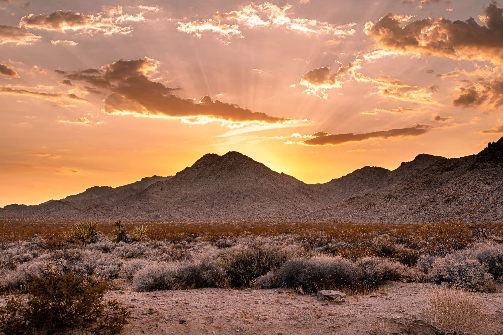 Mojave Sunset